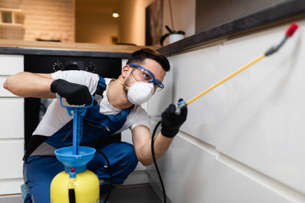 Best Residential Pest Control  in Polo, IL