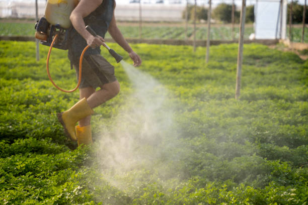 Best Local Pest Control Services  in Polo, IL