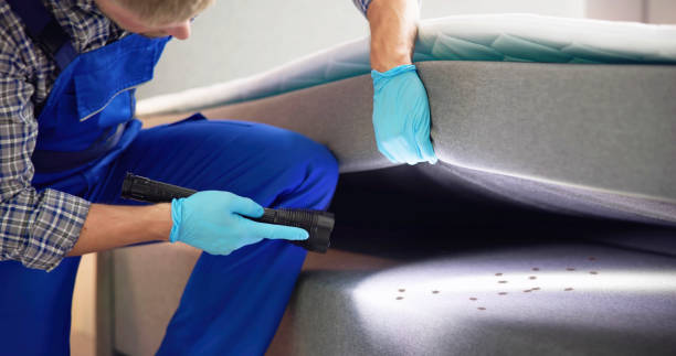 Best Flea Control Services  in Polo, IL